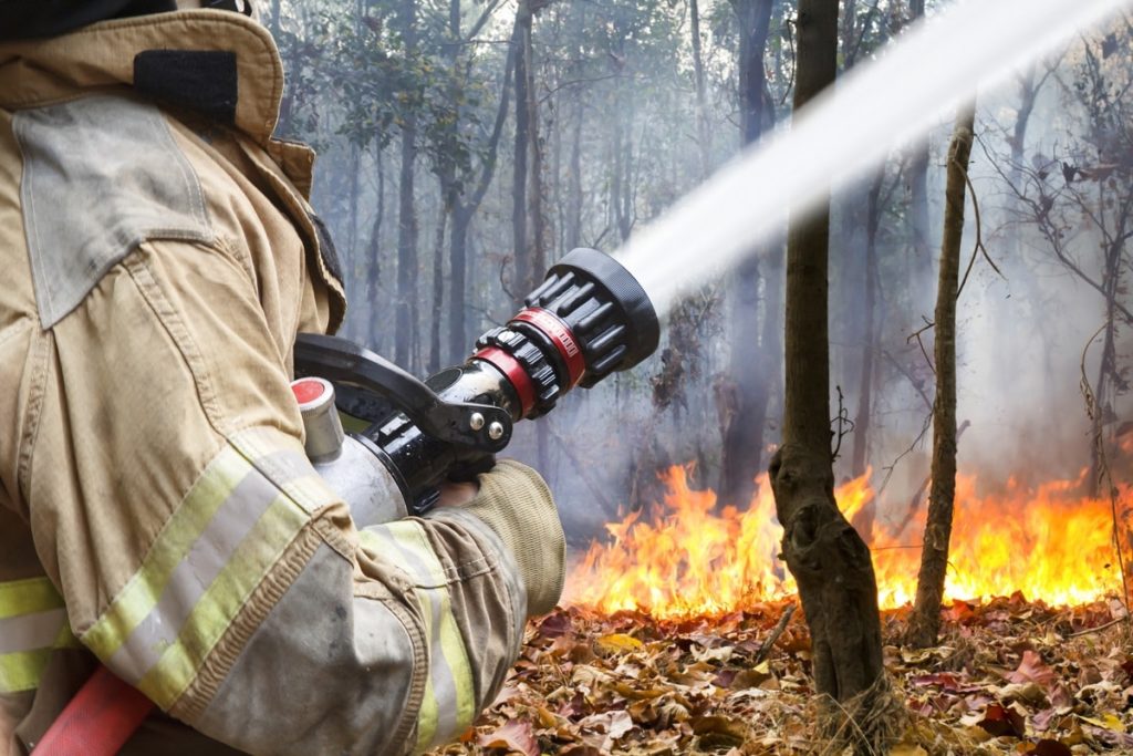 Fireman hosing down forest fire