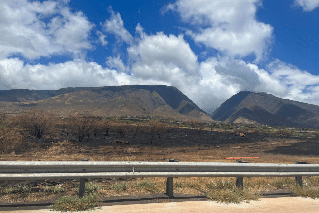 Maui fire damages