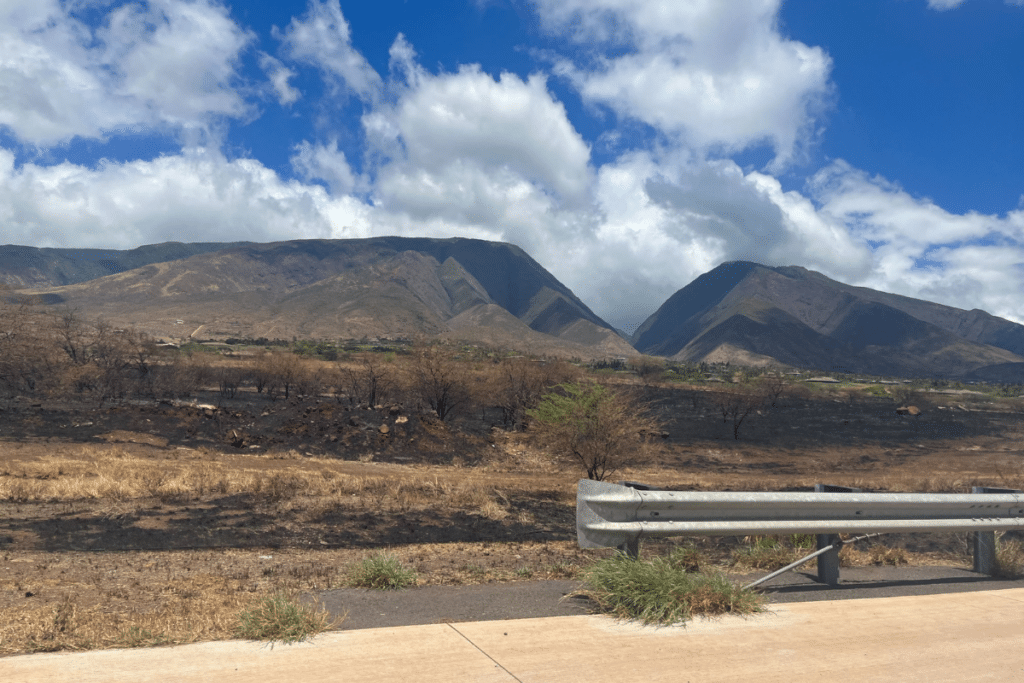 Wildfire damages in Maui