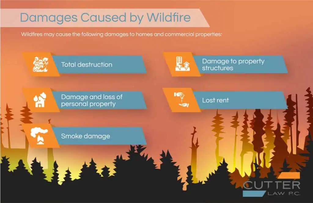 An infographic of damages caused by wildfire