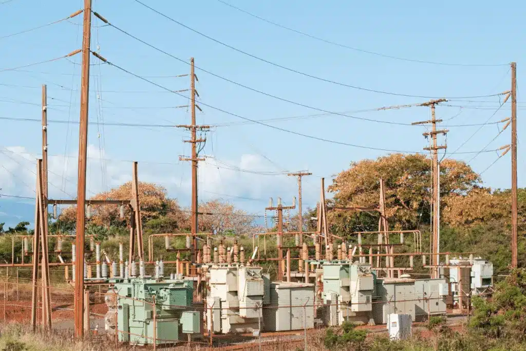 Electric lines in Maui