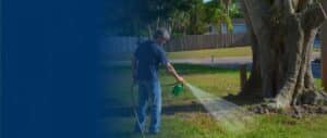 A man on a grassy lawn spraying dcpa weed killer