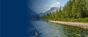 Wideshot of forest and river