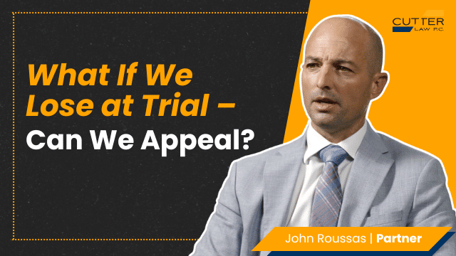 Thumbnail for video titled, What If We Lose at Trial – Can We Appeal?
