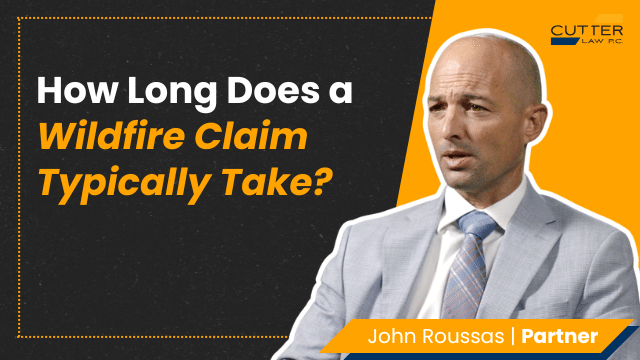 Thumbnail for video entitled, How Long Does a Wildfire Claim Typically Take