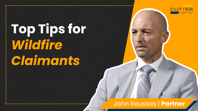 Thumbnail for video entitled, Top Tips for Wildfire Claimants