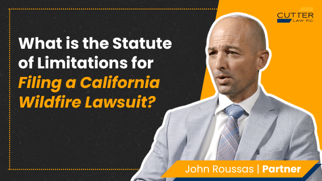 Thumbnail for video entitled, What is the Statute of Limitations for Filing a California Wildfire Lawsuit